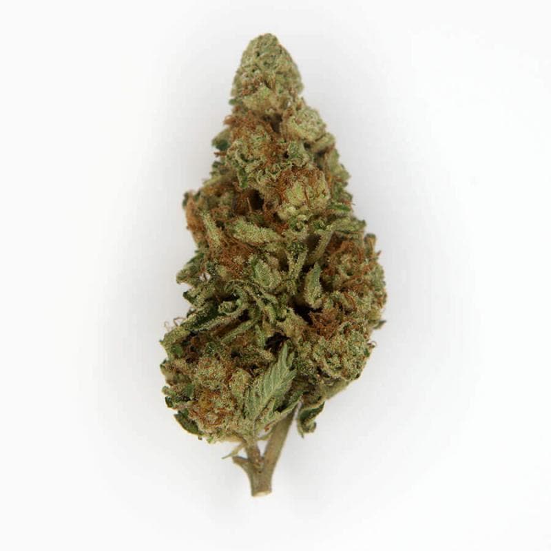 Tangie Cookies