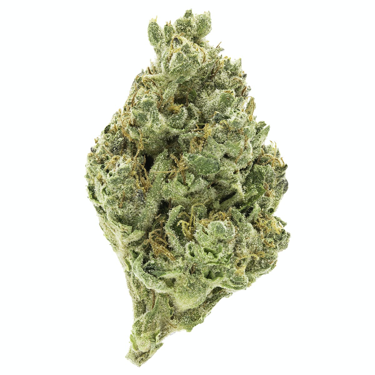 Haze Berry