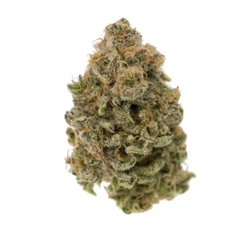 Critical Mass
