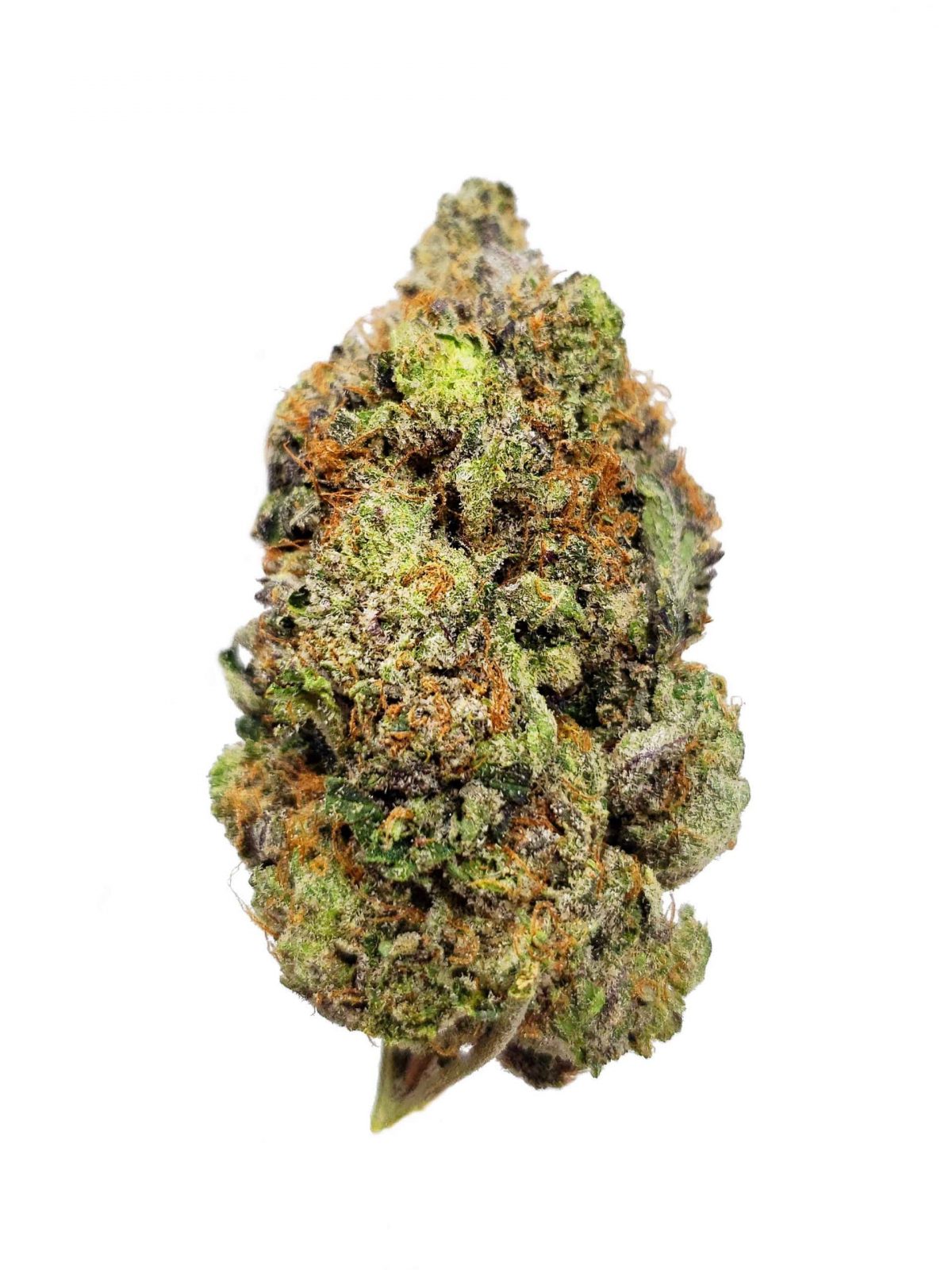 Big Bud