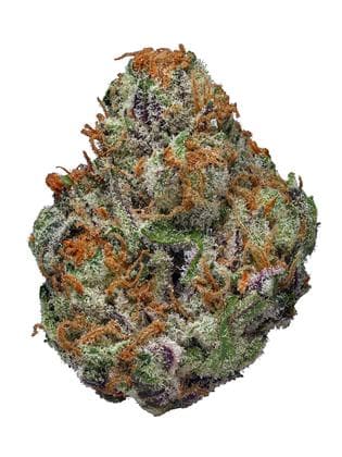 Lucid Blue