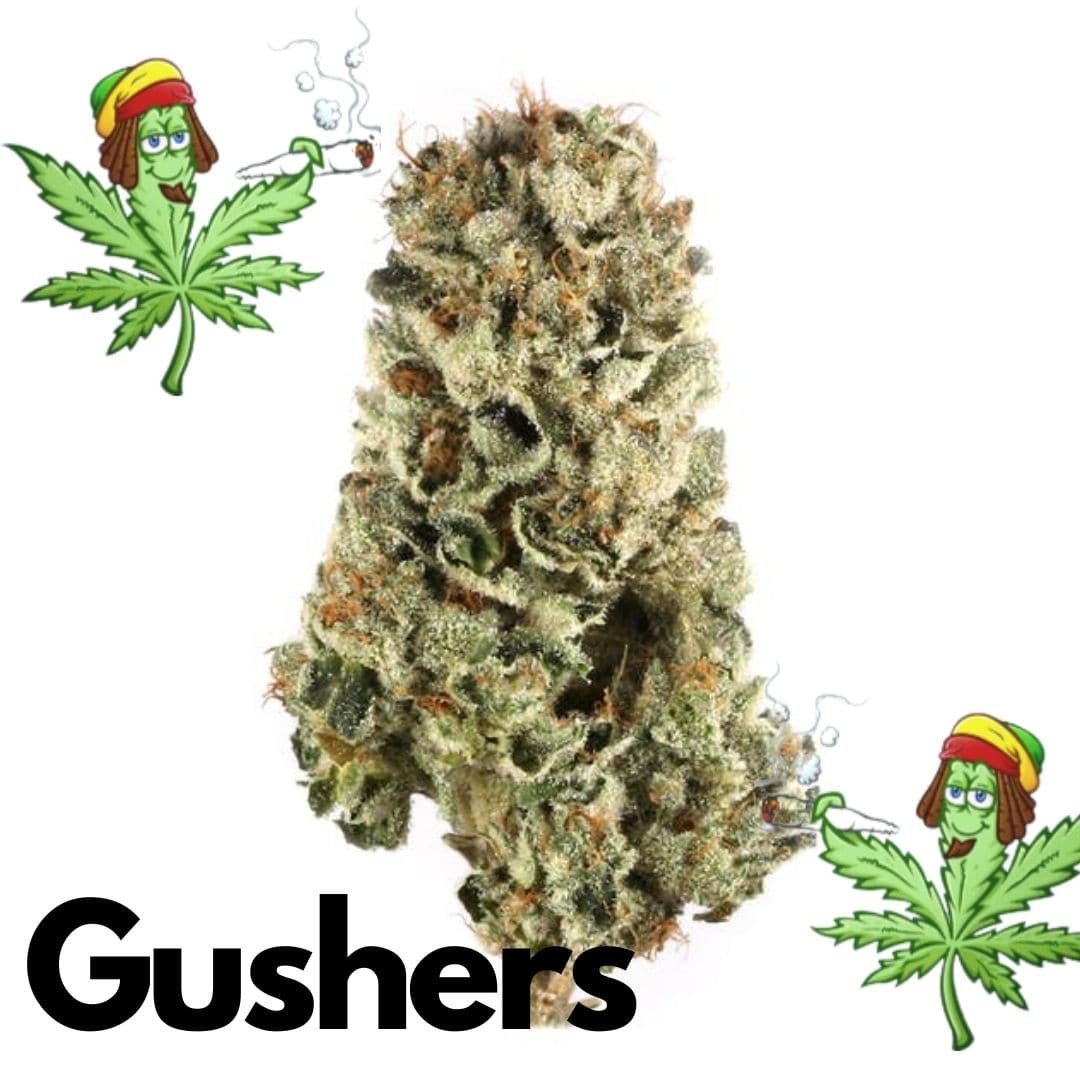 Gushers 
