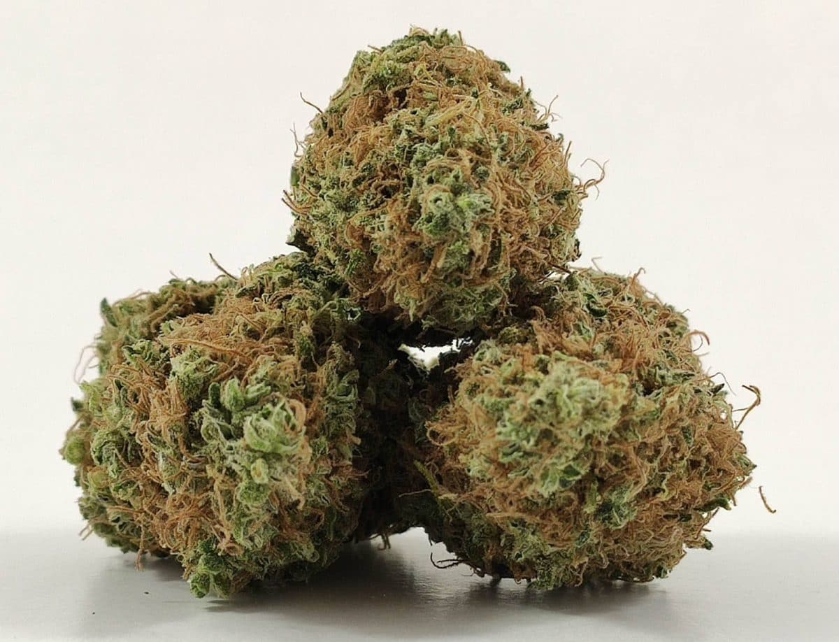 Gorilla candy 
