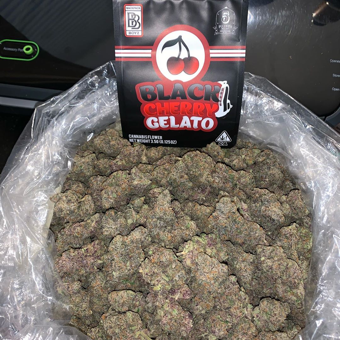 ZAZA black cherry gelato 