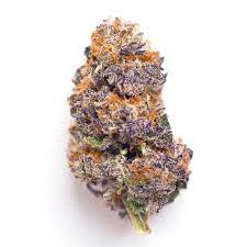 Mendocino