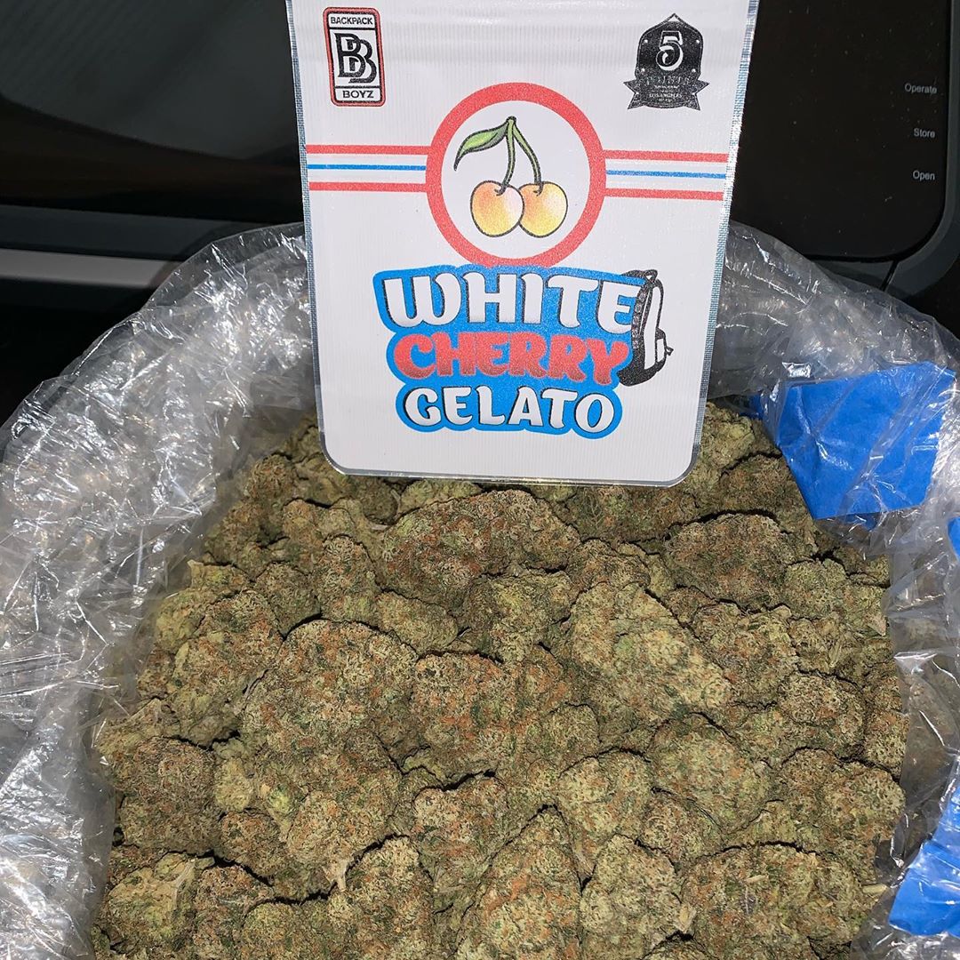 ZAZA white cherry  gelato 