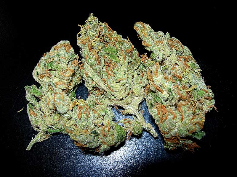 Romulan
