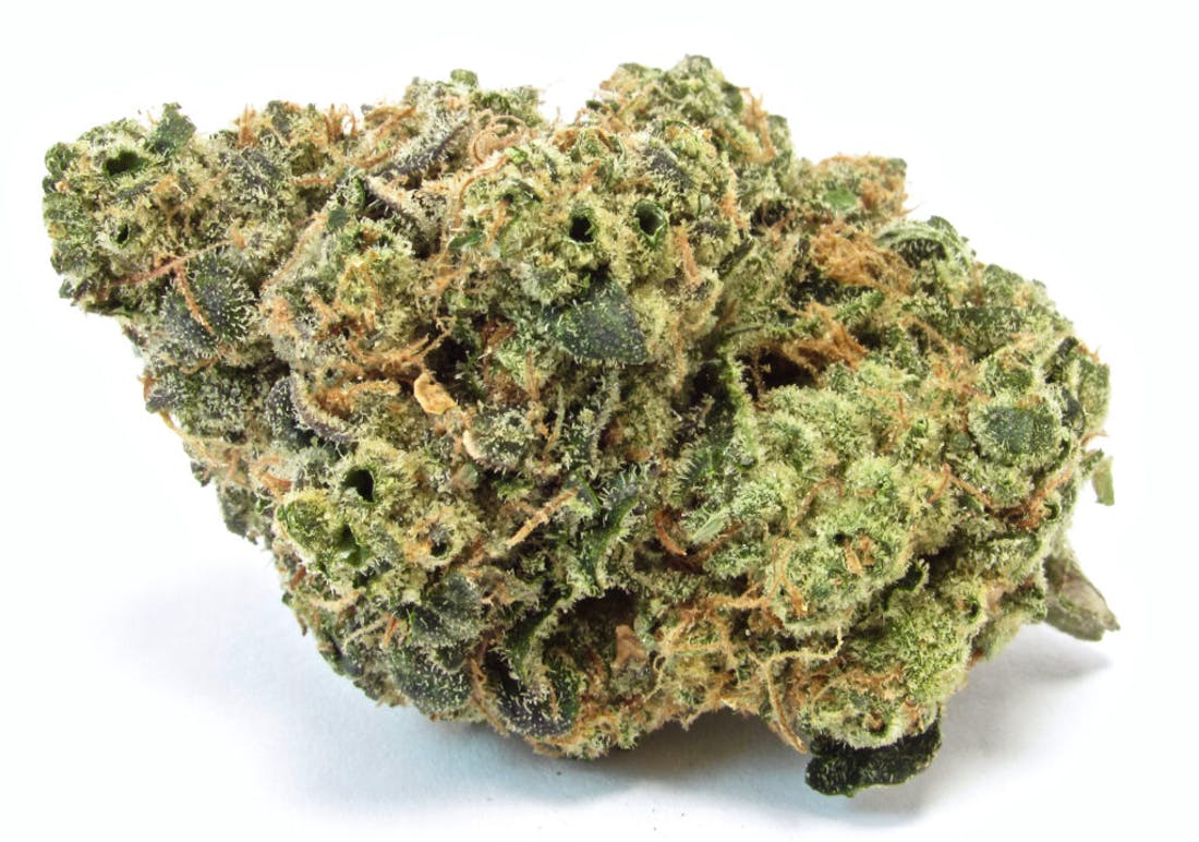 Apple Fritter