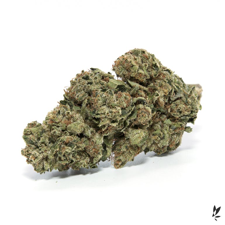  LAMBO OG