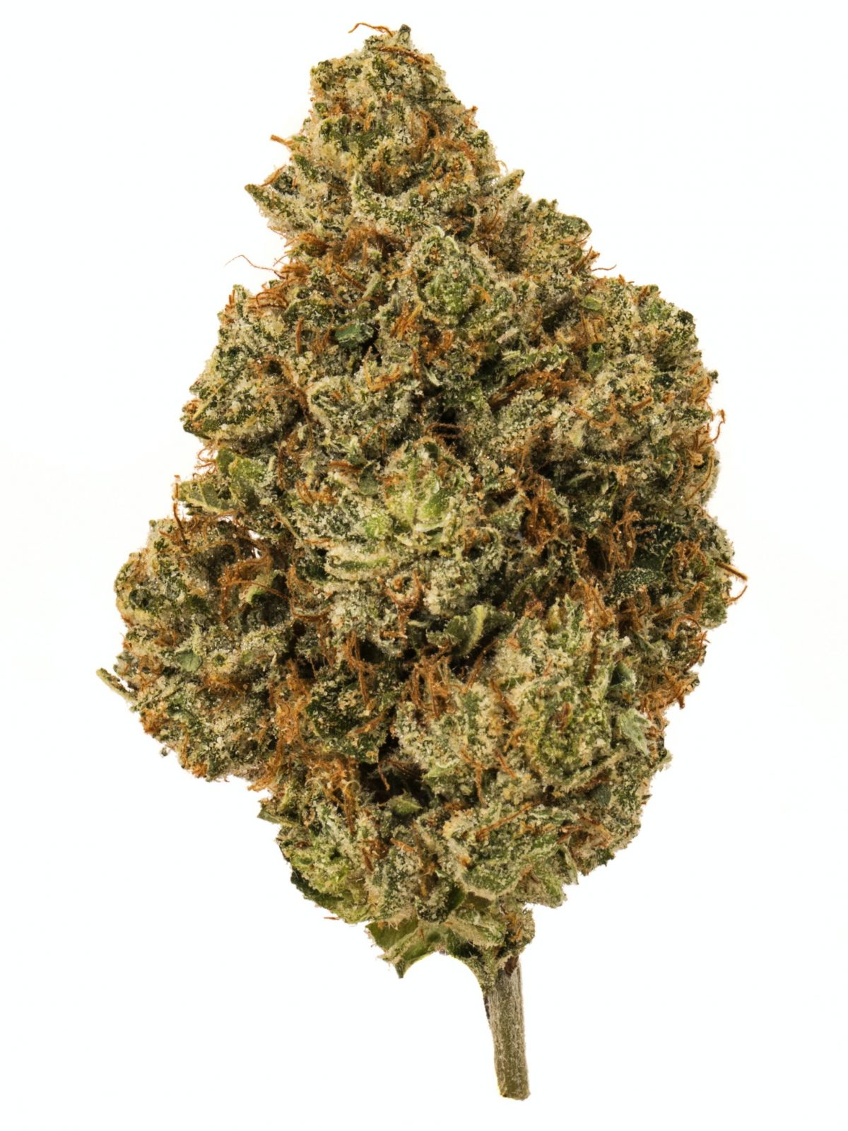 OG