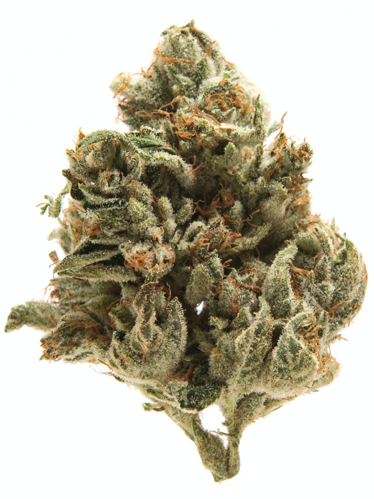 La Confidential
