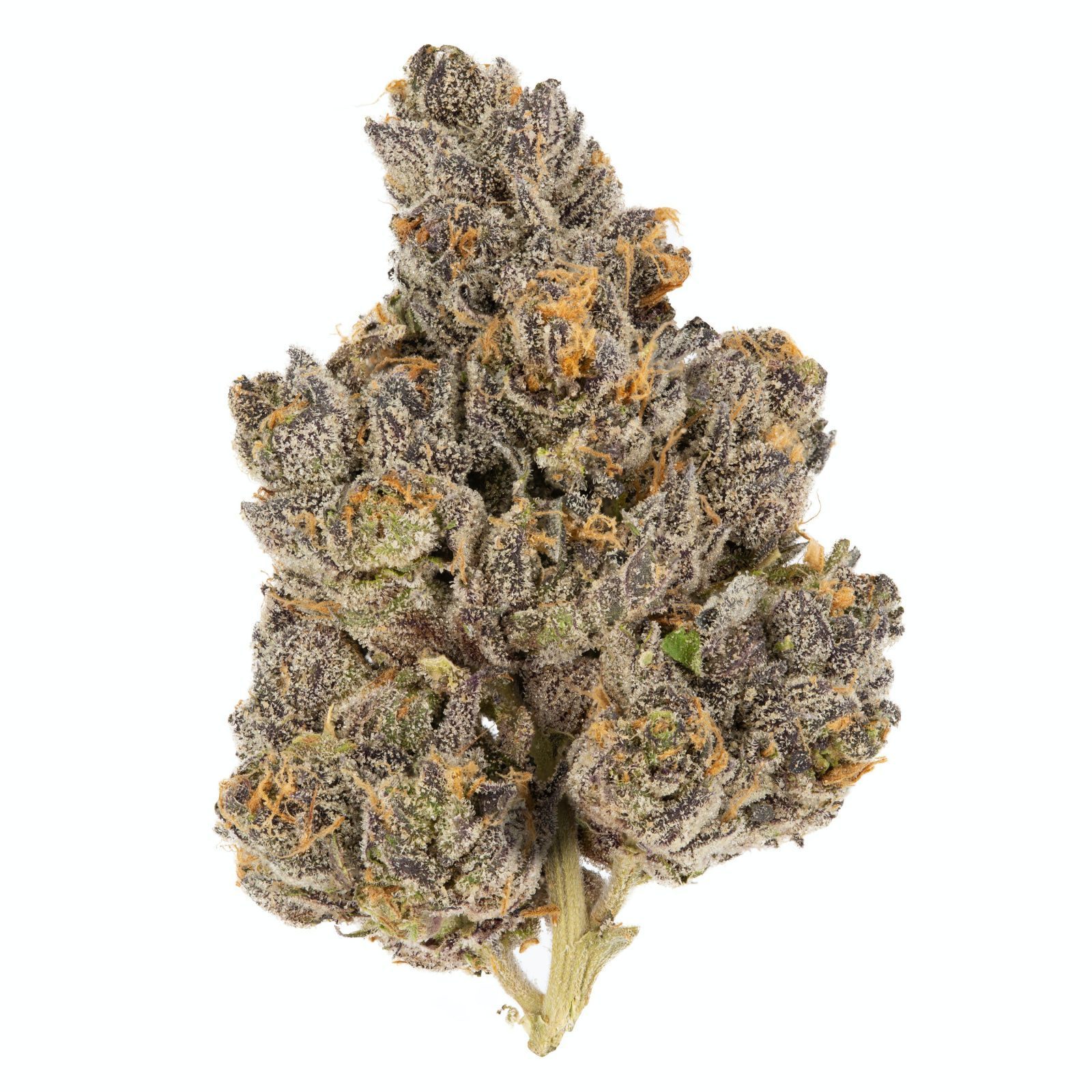 Candyland 
