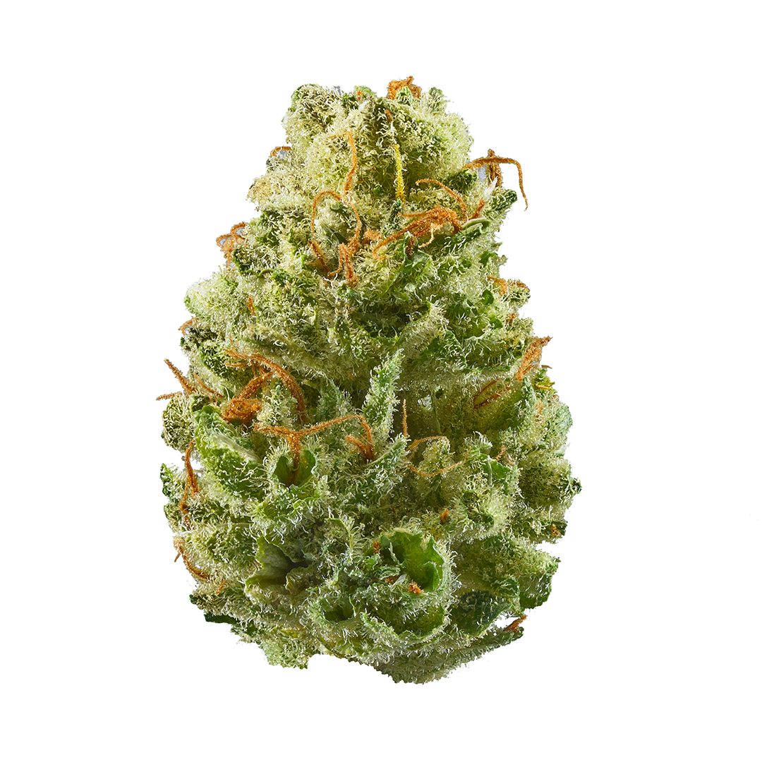 Starberry Cough