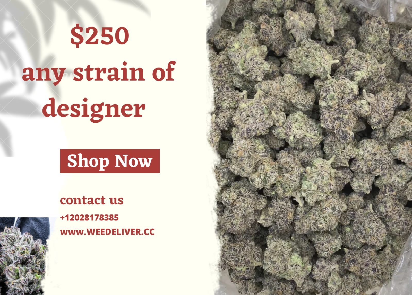 Any Designer 1 Oz for 250$ 