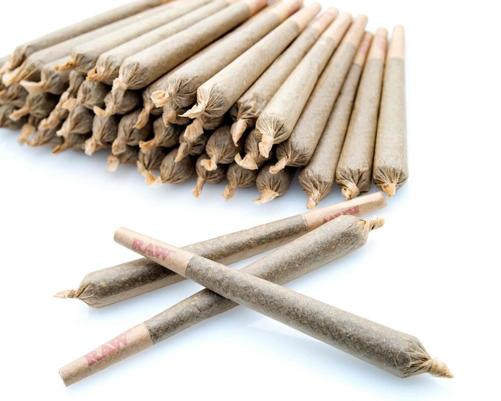 Indica 
