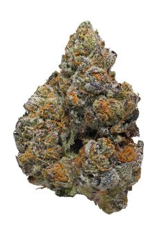 Monster Cookies