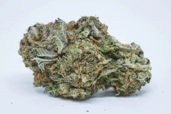 White Widow