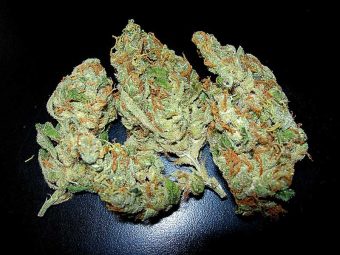 Jelly Rancher