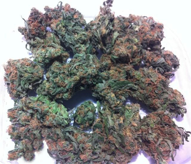Exploring Blue Dream: A Sativa-Dominant Hybrid