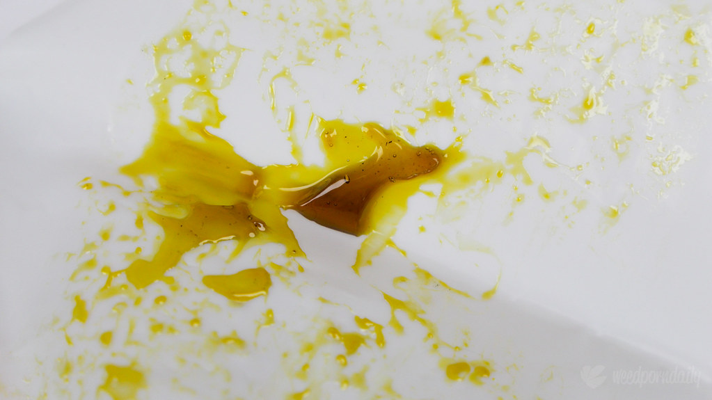 A Beginner's Guide to Cannabis Concentrates
