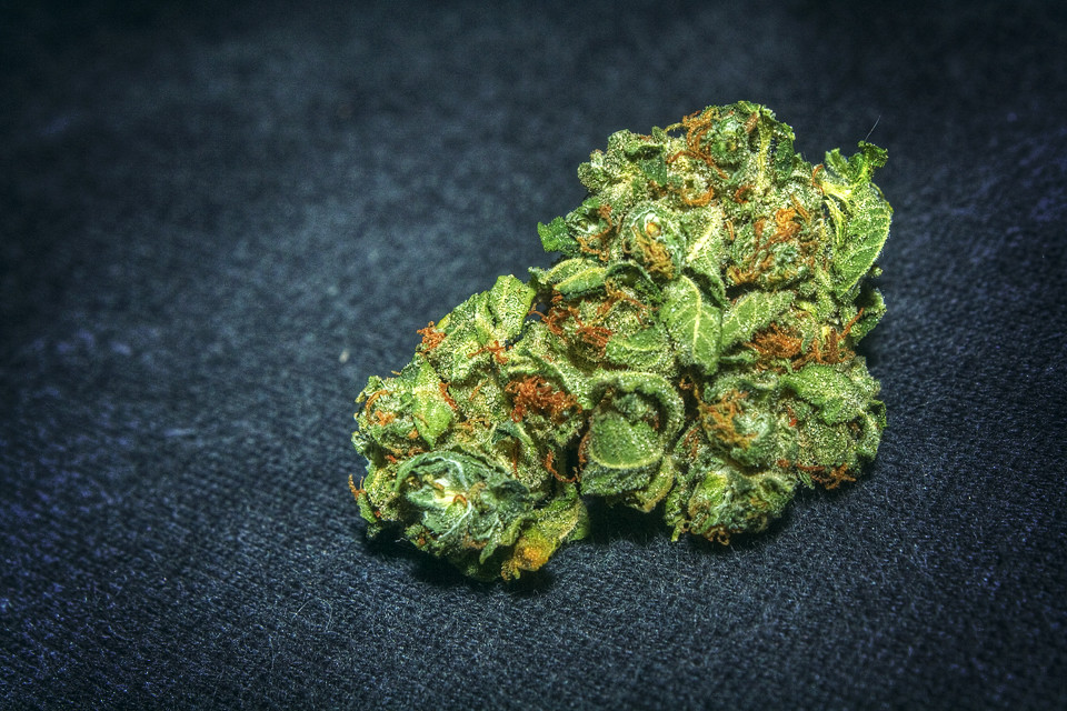 Strain Guide: Green Crack