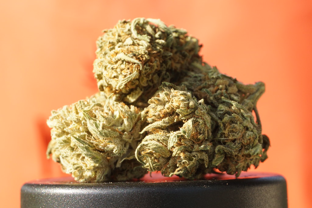 The Ultimate Buying Guide for Cannabis Flower