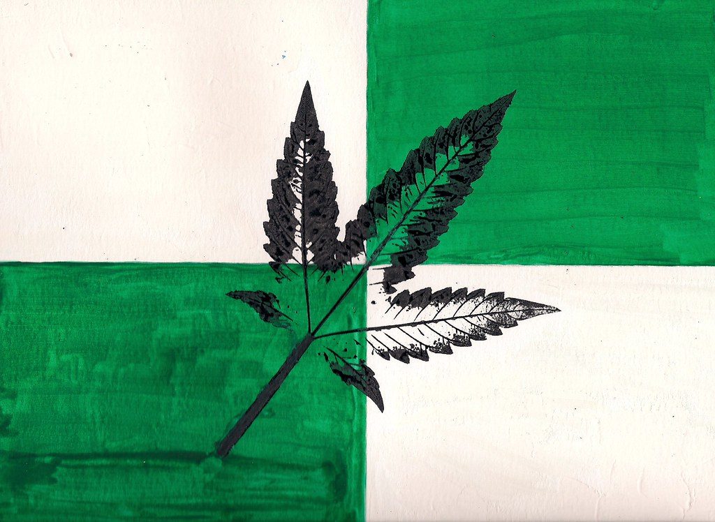 Biscotti Strain Guide – A Dessert‑Inspired Hybrid for Evening Relaxation
