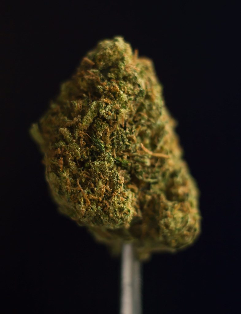 Spotlight on Gas Light VA – Springfield’s Friendly Cannabis Delivery Hub