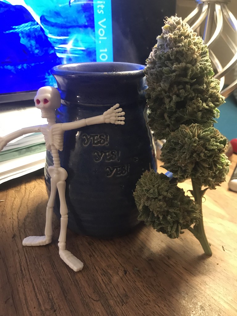 Strain Guide: Sour Diesel