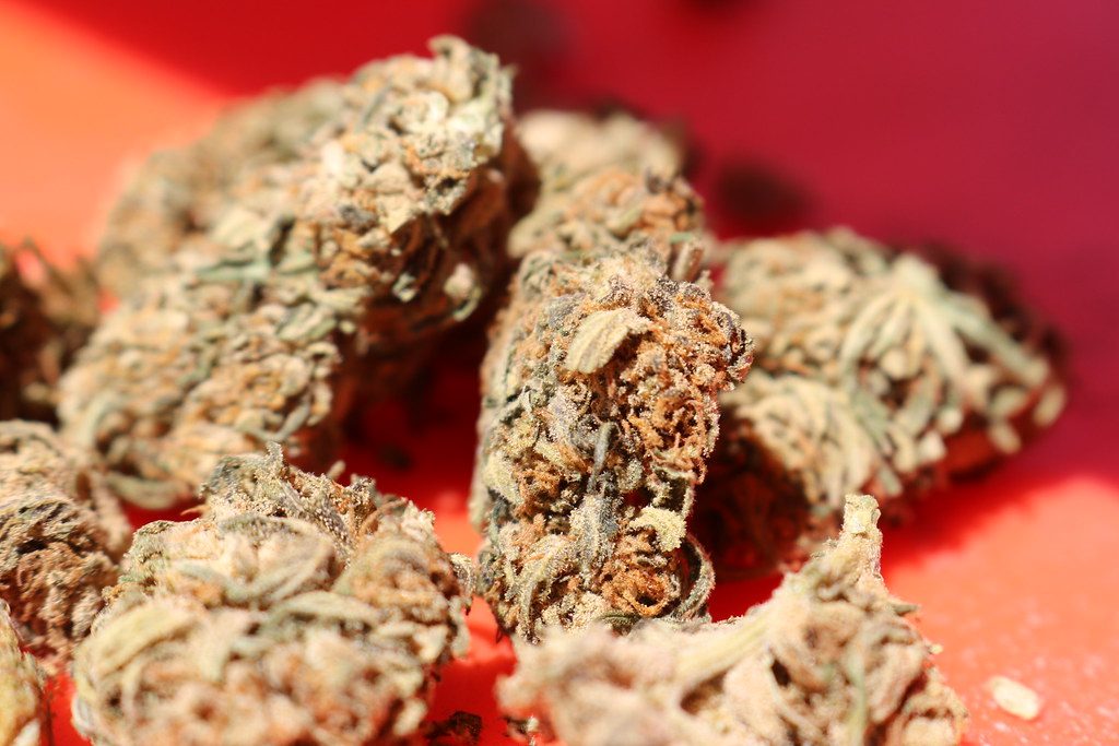 Do‑Si‑Dos: An Evening Indica Guide