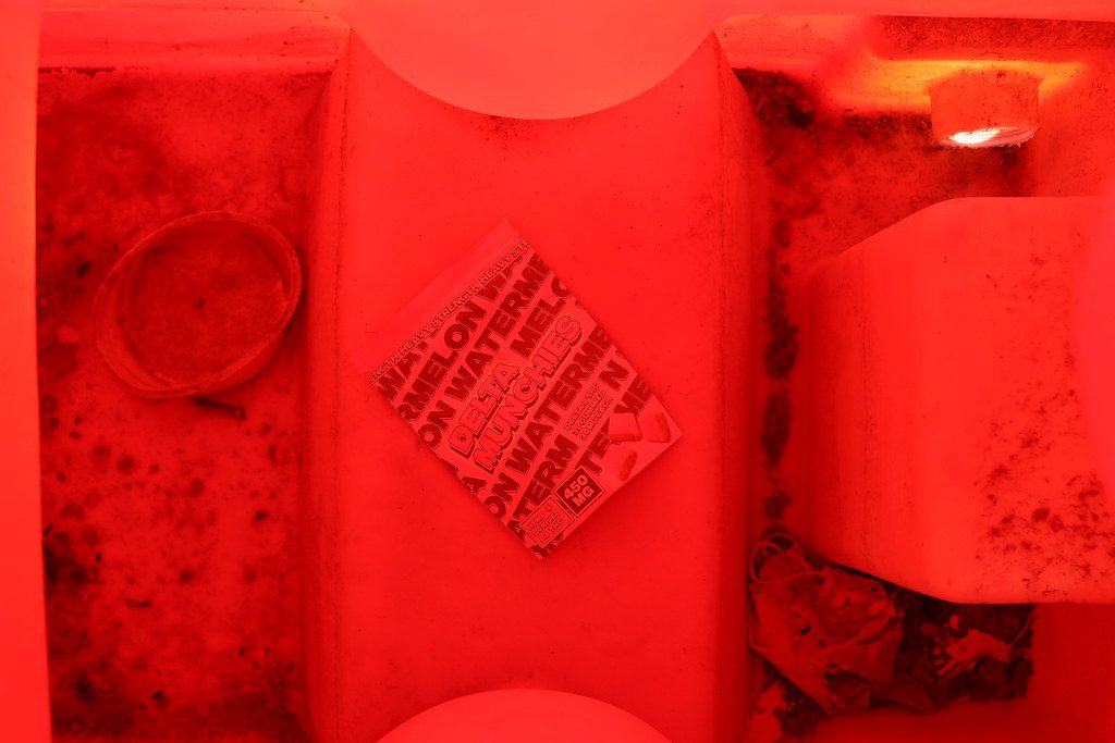 Navigating Edibles: A First‑Timer’s Buying Guide