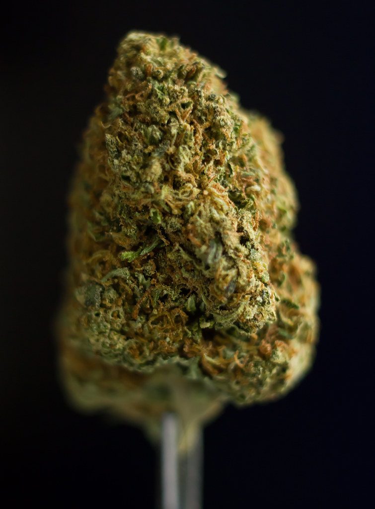 Grape Ape: A Classic Evening Indica